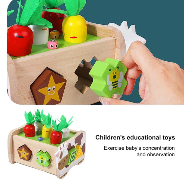 Juguetes Montessori De Madera Para Bebes